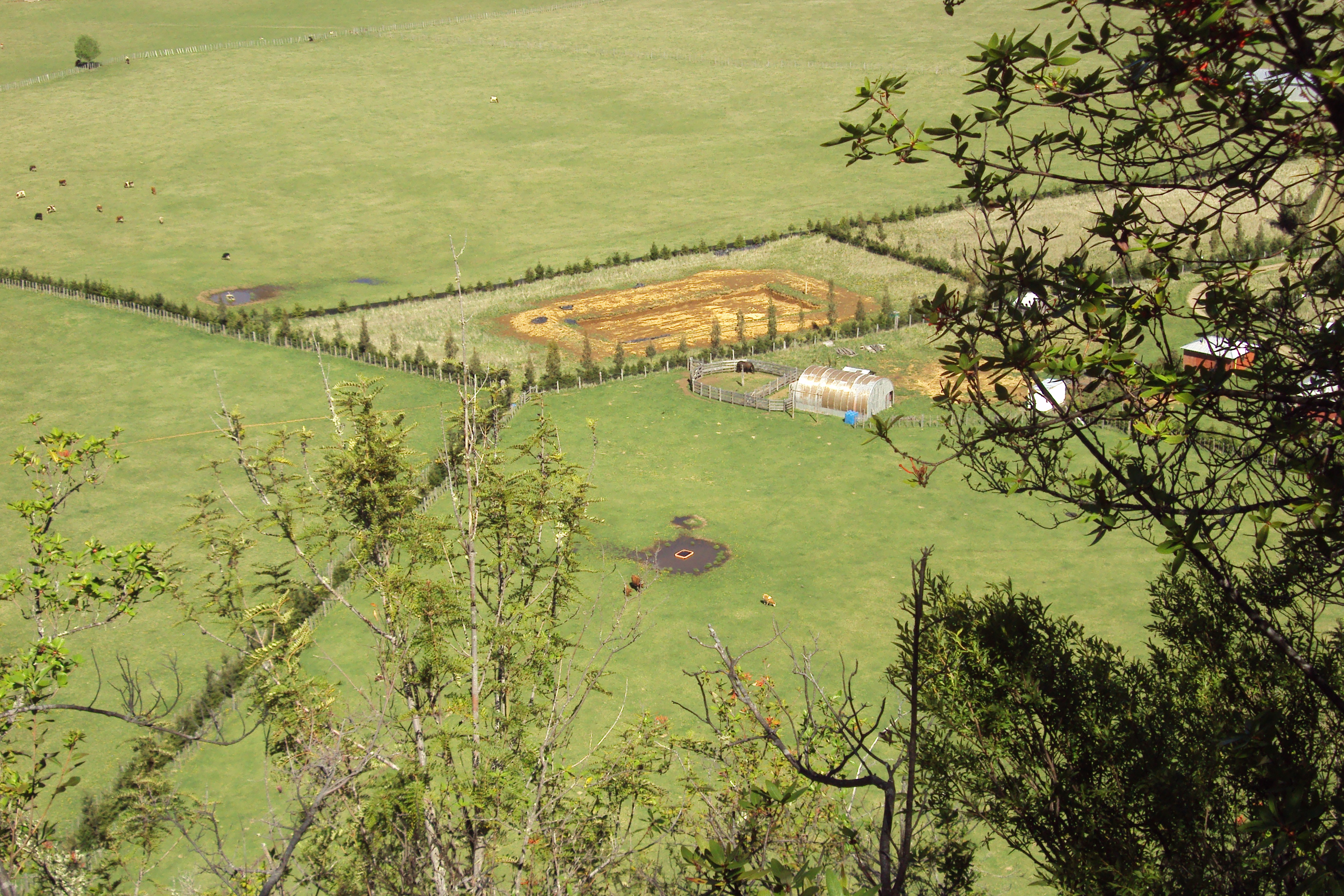 Detalle aéreo de corral e invernadero del Fundo La Pampita, 2014